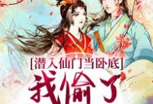 潜入仙门当卧底,我偷了谪仙的心完整版小说,潜入仙门当卧底,我偷了谪仙的心宋时卿谢寂玉-推书机