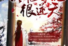 白凰小说免费阅读完整版-推书机