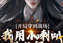 寻找开局穿到战场,我用小喇叭扰乱军心小说的最新更新章节-推书机