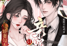 娇妻勾人：离婚个球！只想亲哭她郁琛宋书疑小说在线章节免费阅读-推书机