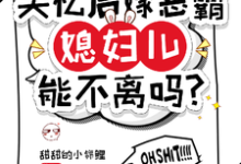 《失忆后嫁恶霸,媳妇儿能不离吗?》小说免费阅读完整版-推书机