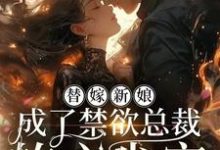 替嫁新娘,成了禁欲总裁的心尖宠这本小说怎么样?免费在线阅读试试-推书机