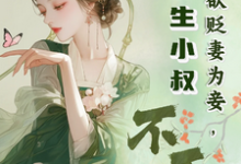 小说完整版《夫君欲贬妻为妾，重生小叔不干了》免费阅读-推书机