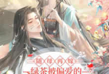 小说《随母再嫁！绿茶被偏爱的有恃无恐》完整版章节免费阅读-推书机