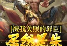 在线寻找被我关照的罪臣，居然是朱厚熜发小小说的无删减版本-推书机