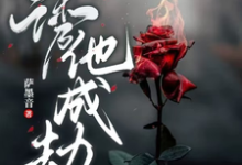 诱他,成劫!沈子灵小说大结局免费试读-推书机
