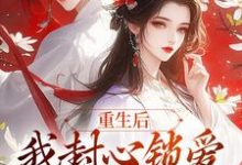 重生后，我封心锁爱，皇帝请离开小说最新章节在哪里可以读到？-推书机