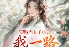 穿越当太子小妾,我一路扶摇直上小说完结版章节免费阅读-推书机