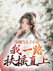 穿越当太子小妾，我一路扶摇直上小说完结版章节免费阅读