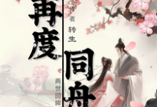 小说《再度同舟》完整版在线章节免费阅读-推书机