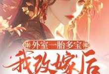 完整版小说《外室一胎多宝，我改嫁后你哭啥》免费阅读-推书机