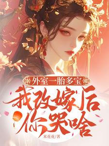 完整版小说《外室一胎多宝，我改嫁后你哭啥》免费阅读