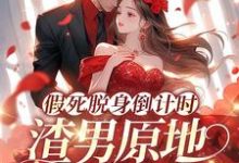 假死脱身倒计时，渣男原地哭成狗小说无弹窗阅读的网站推荐-推书机