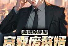 离婚冷静期,窝囊废赘婿黑化了完整版小说,离婚冷静期,窝囊废赘婿黑化了宋亦-推书机