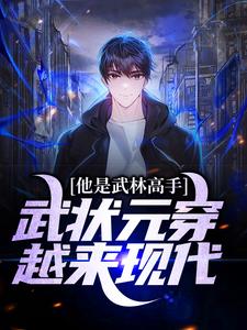 求他是武林高手：武状元穿越来现代小说免费资源