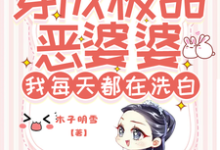 李如意小说在线章节免费阅读(穿成极品恶婆婆,我每天都在洗白无弹窗无删减)-推书机