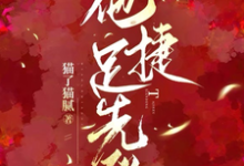 白芷厉霆修小说叫什么(他捷足先登完整版免费阅读)-推书机