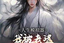 白棋完整版小说《人生模拟器：我被老婆逼成世间极境》免费阅读-推书机