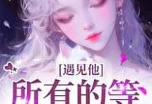 夏颜谭正东小说《遇见他，所有的等待都值得》在线阅读-推书机