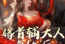 完结版《嫁首辅大人复仇后，她被反攻略了》章节阅读-推书机
