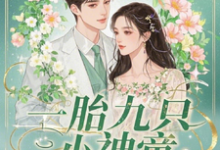 一胎九只小神童,萧爷的独家宠爱小说有没有完结版在线?-推书机