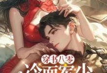 温念陆寒铮小说穿书八零：冷面军少夜夜来敲门完整版阅读-推书机