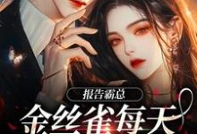 报告霸总，金丝雀每天都在装乖巧傅婳裴闻渡，报告霸总，金丝雀每天都在装乖巧章节在线阅读-推书机
