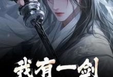 林霄小说免费阅读完整版-推书机