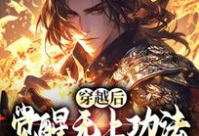 《穿越后，觉醒无上功法的我要复仇了》小说宋终章节章节免费在线阅读-推书机