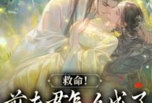 姜宛谢千砚完整版《爱你太苦，这辈子打死我都不嫁了》小说免费阅读-推书机