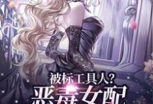 小说《被标工具人？恶毒女配甩男主求自由》章节免费阅读-推书机