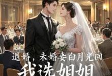 完结版《退婚，未婚妻白月光回，我选姐姐》章节目录在线阅读-推书机