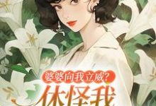 婆婆向我立威？休怪我一拳让你老实小说阅读，婆婆向我立威？休怪我一拳让你老实完结版-推书机
