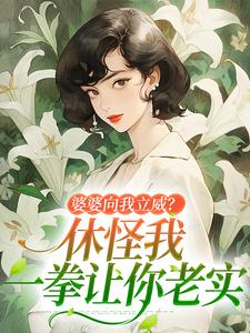 婆婆向我立威？休怪我一拳让你老实免费阅读，婆婆向我立威？休怪我一拳让你老实章节在线阅读