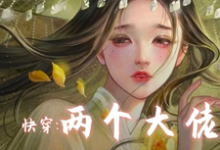 快穿两个大佬别关了不逃了这本小说在哪里可以看?哪里有免费试读章节?-推书机
