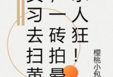实习去扫黄,一砖拍晕杀人狂!小说的免费阅读版本在哪里可以找到?-推书机