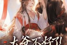 宋挽初小说大爷不好了！夫人她翻墙了完整版阅读-推书机