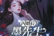 寻找闪离后：墨先生别来无恙小说的最新更新章节-推书机