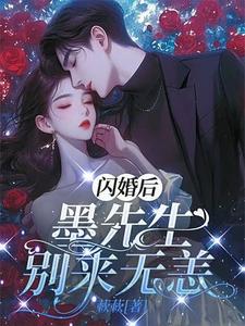 寻找闪离后：墨先生别来无恙小说的最新更新章节