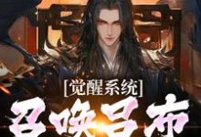 觉醒系统:召唤吕布给我杀陈锦文小说在线章节免费阅读-推书机