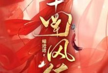 南风佑免费阅读，南风佑陆盛楠-推书机