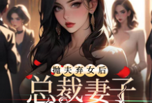 抛夫弃女后,总裁妻子跪求原谅小说的无弹窗阅读体验,寻找免费阅读网站-推书机
