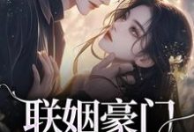 联姻豪门继承人后,我逃婚了!免费阅读,联姻豪门继承人后,我逃婚了!章节在线阅读-推书机
