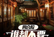 四合院谁都不要和我抢养老小说最新更新在哪里?免费在线看-推书机