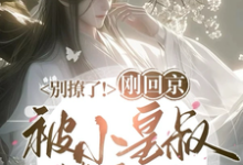 小说《别撩了！刚回京被小皇叔撩红温》完整版章节免费阅读-推书机