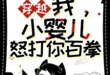 完整版小说《穿越：我，小婴儿，怒打你百拳》免费阅读-推书机