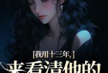 《我用十三年，来看清他的真心无常》乔星光小说免费阅读完整版-推书机