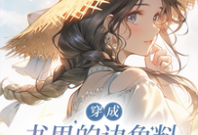 穿成书里的边角料怎么办?在线等小说最新更新在哪里?免费在线看-推书机