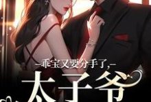 乖宝又要分手了,太子爷求贴贴小说最新更新在哪里?免费在线看-推书机