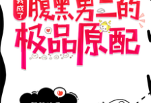 穿书：我成了腹黑男二的极品原配钟宁季尘小说大结局免费试读-推书机